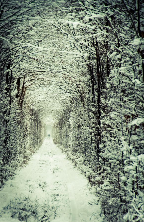 【愛的隧道】Tunnel Of Love位在烏克蘭西部羅夫諾區(Rivne)的小鎮克萊文(Kleven)上，有一條由綠色藤蔓圍成的火車隧道。置身其中，仿佛走進一個室外“秘密花園”。鐵路全長 1.8 公里，目前仍有一輛運送木料到工廠的私人火車從此經過。在東歐，這條美麗的隧道已成為相愛之人許下承諾的熱門地，“愛的隧道”由此得名，又被稱為世界上最美麗的隧道。