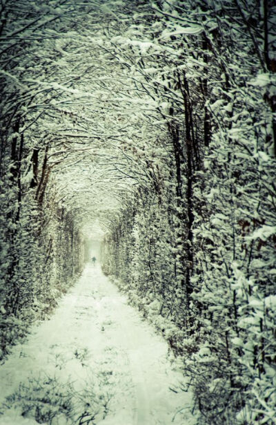 【愛的隧道】Tunnel Of Love位在烏克蘭西部羅夫諾區(Rivne)的小鎮克萊文(Kleven)上，有一條由綠色藤蔓圍成的火車隧道。置身其中，仿佛走進一個室外“秘密花園”。鐵路全長 1.8 公里，目前仍有一輛運送木料到工廠的私…