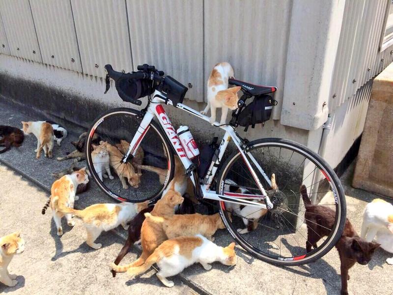 巴巴变免费相册