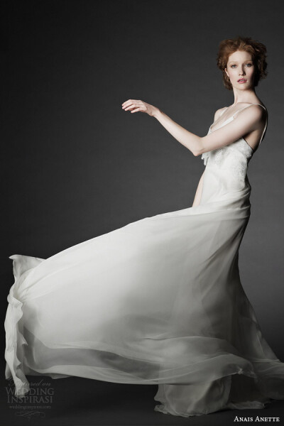 Anais Anette Fall 2014 Wedding Dresses