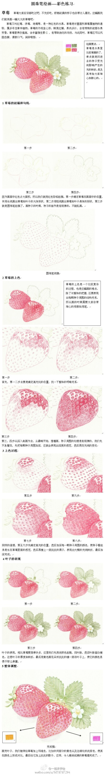 绘画工具：多色圆珠笔。草莓的画法。（作者：Thinkling 于俊杰 ）