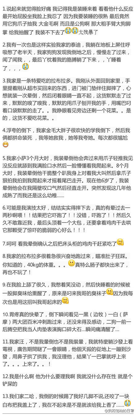整理【在家宠物面前假装晕倒时，你们家宠物有何反映！】评论合集。看完，再也不能快乐装晕倒了。