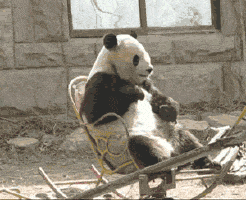 自娱自乐式减压玩法……
