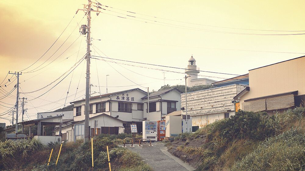 神奈川県城ケ崎-苍旻之鹰