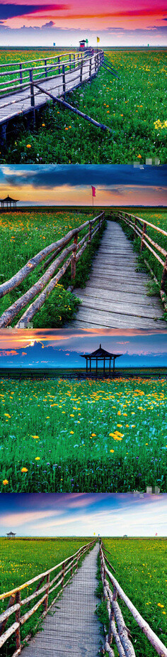 沽源坝，五花草甸被誉为“华北最美花海”，数千亩的草甸上都盛开着五颜六色的小花，在蓝天白云的映衬下，仿佛从天堂跌落人间的迷人美景。