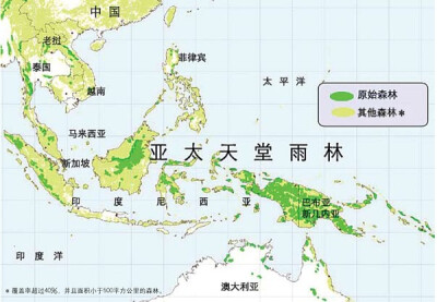 天堂雨林 是亚太地区最重要的热带雨林