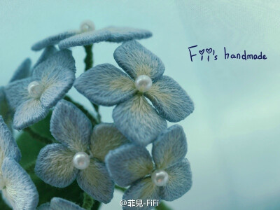 初夏·紫阳花