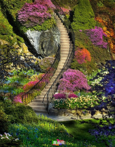 [imior.com]园艺奇葩——Butchart Gardens 更多:http://www.imior.com/goods/show?gid=3288