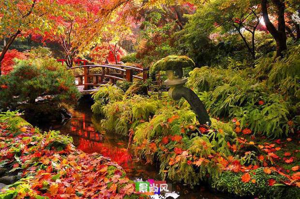 [imior.com]园艺奇葩——Butchart Gardens 更多:http://www.imior.com/goods/show?gid=3288