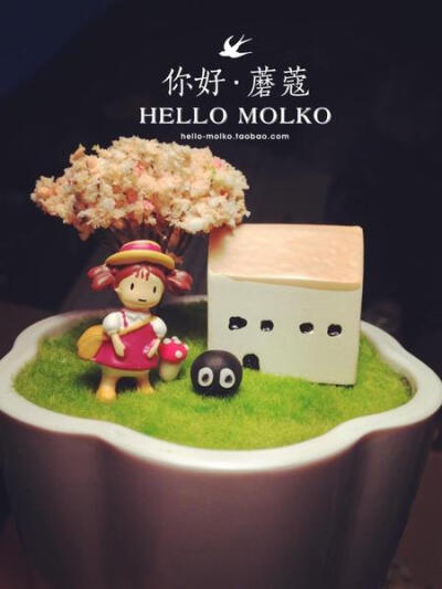 http://hello-molko.taobao.com/