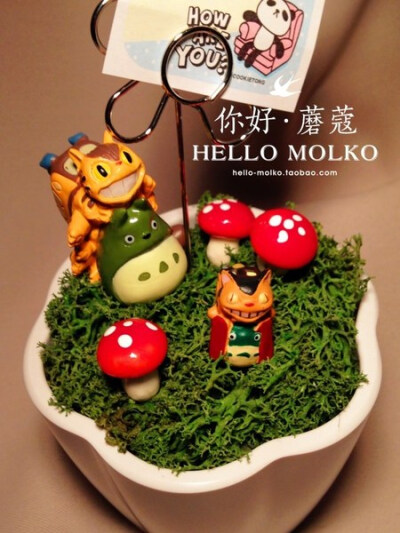 http://hello-molko.taobao.com/