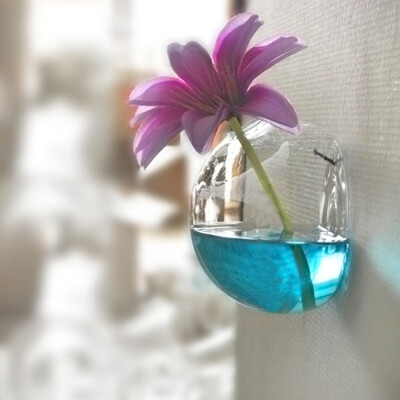 mxmade悬挂式墙壁壁挂花瓶 透明玻璃水培装饰器皿 创意居家装饰品