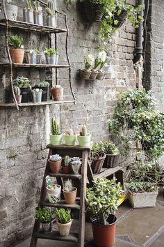 flower shop under the railway