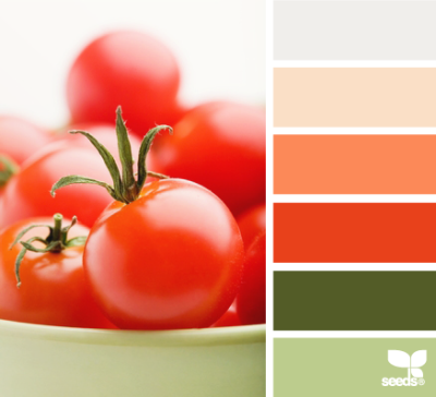 tomato tones