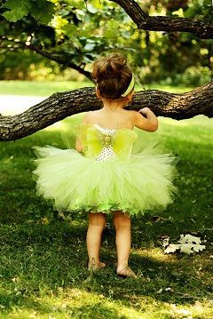 tinkerbell tutu costume