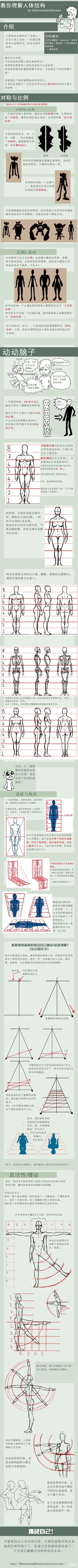 教你理解人体的结构