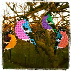 Birds hama perler by mariesmynkning