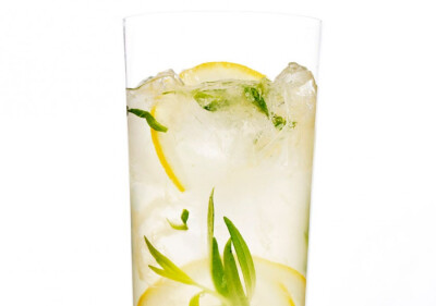 Sparkling Tarragon Gin Lemonade Lemonade is not thirst-quenching. Let's be real. But it is delicious, especially when spiked with gin.