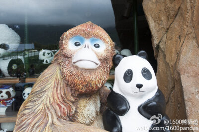 【香港6·18】到海洋公園探訪好友安安、佳佳、盈盈和樂樂，玩得不亦樂乎！熊貓是保護瀕危物種的重要象徵，然而至今全球野生熊貓為只剩餘約1600隻，大家要好好保護熊貓！