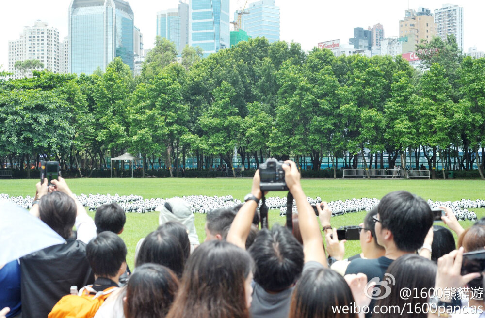 6·19熊貓大軍去到維園既大草地與陽光玩遊戲，更有近七千位市民陪同一起! 不過他們亦提點大家夏日進行戶外活動時要多喝水，避免中暑呀!