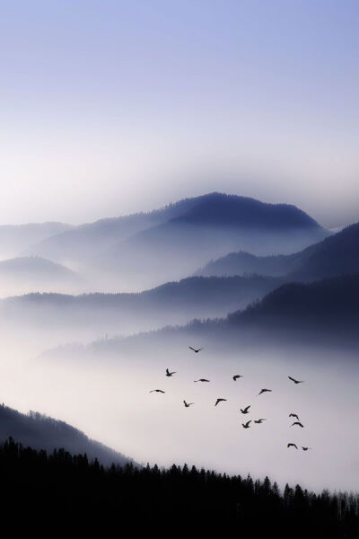 飞越迷雾 Flying Over The Fog