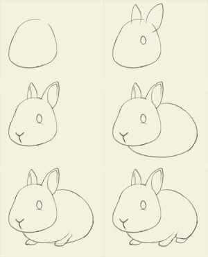 素描【兔子輪廓】分解圖，來源：http://idrawgirls.com/tutorials/2012/06/13/how-to-draw-bunny/