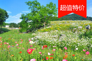 北川药王谷 暑假露营节开幕式一日游