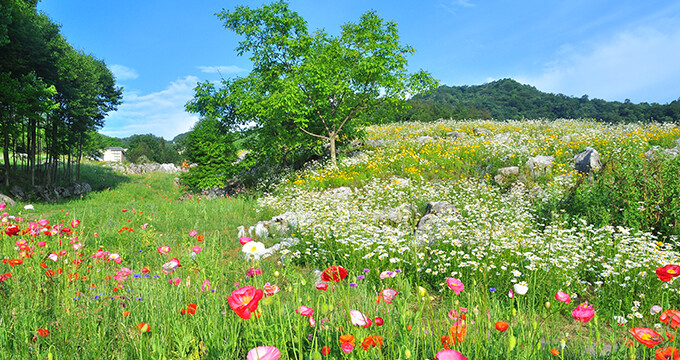 四川旅游去哪儿,北川药王谷奇乐开心地 - 玩味生活 - 4