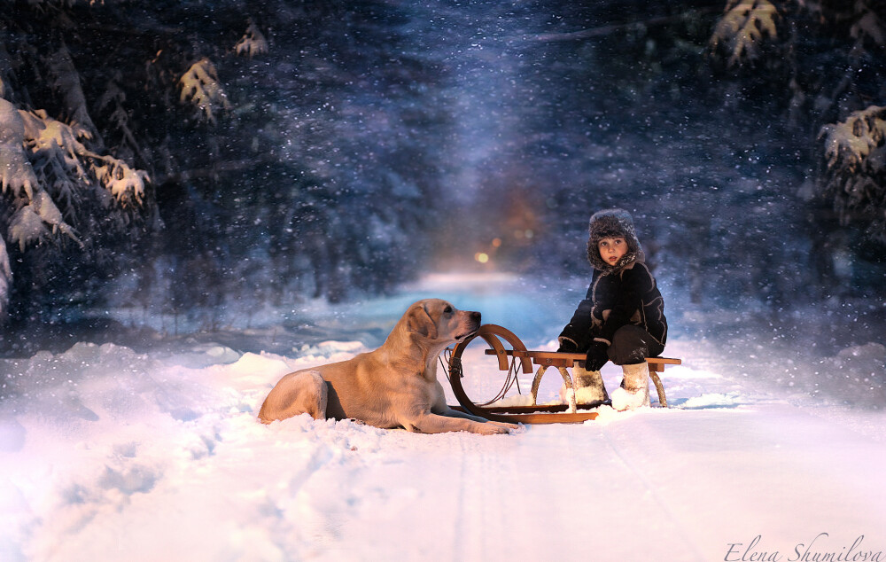 Elena Shumilova：他们与它们的故事_22_1