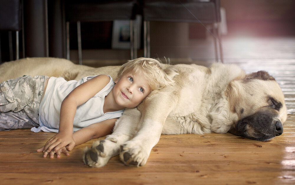 Elena Shumilova：他们与它们的故事_24_1