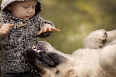 Elena Shumilova：他们与它们的故事_26_1