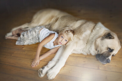 Elena Shumilova：他们与它们的故事_29_1