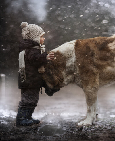 Elena Shumilova：他们与它们的故事_34_1