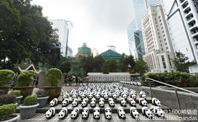 1600熊貓快閃最後一站來到中環皇后像廣場。中環是香港商業中心，平日較多車輛出入，容易影響空氣質素。1600熊貓希望提醒大家可減少自駕，多使用公共交通工具，一起保護環境