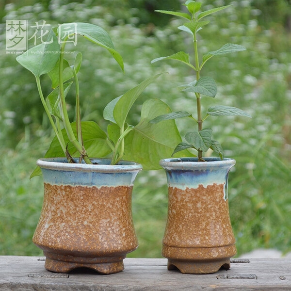 粗陶瓷器日式韩国室内桌面家居多肉植物盆栽陶瓷花盆 拼盆