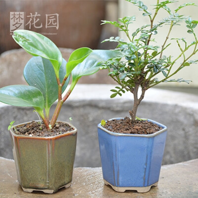 紫砂精品粗陶器日式韩国室内家居桌面 多肉植物盆栽陶瓷花盆