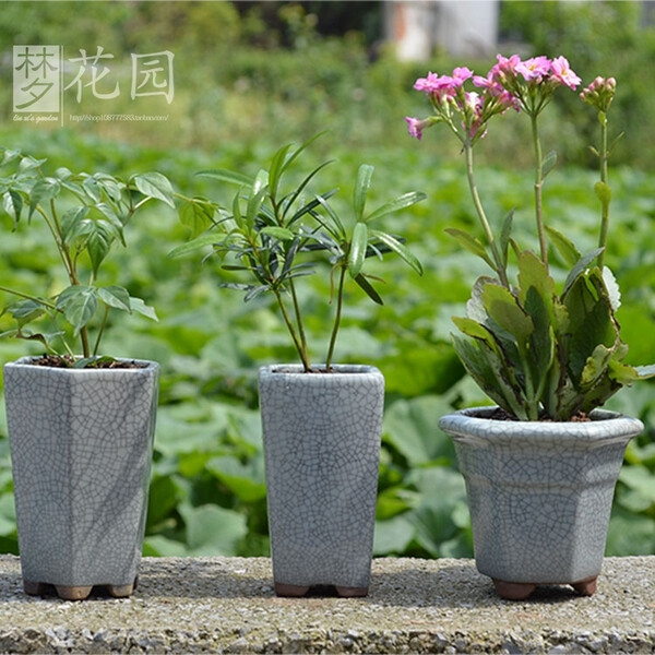 拼盆汝窑开片瓷韩国室内家居桌面多肉植物盆栽陶瓷器花盆