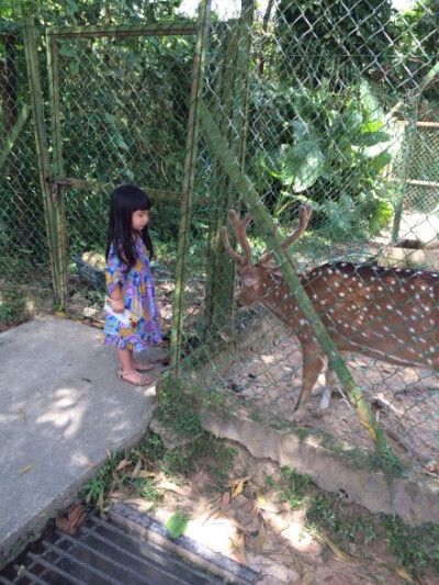 今日的動物園小遊～沒太多的動物，走走逛逛囉！