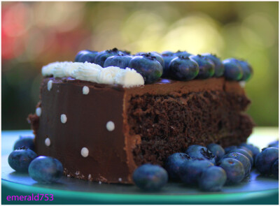 Chocolate Fudge Cake by theresahelmer