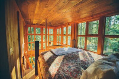 一家樹屋旅館。TREEHOUSE.