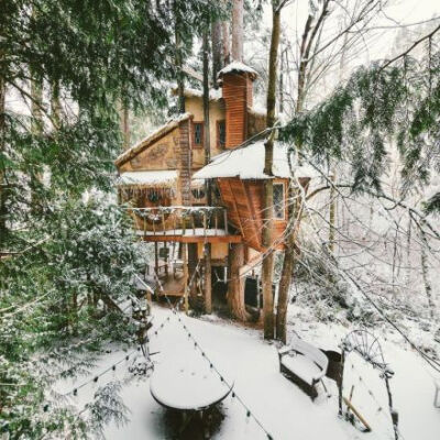 一家樹屋旅館。TREEHOUSE.