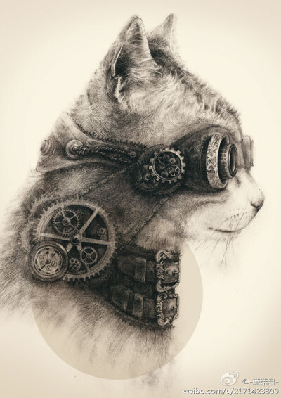 ST2 Steampunk神经小猫一枚