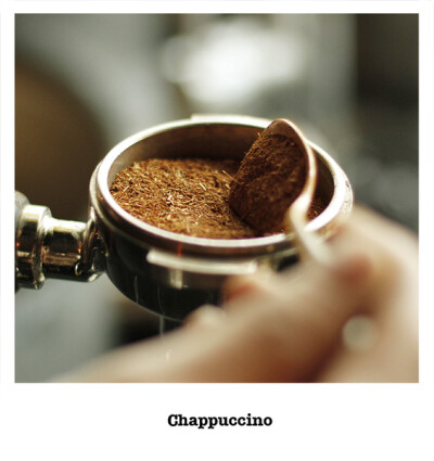 【新品】Chappuccino | 茶布其诺 （散装） | 大好商店