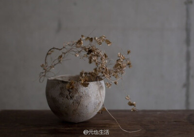 物尽其用，自在物华；明心净气，心有莲台。（陶作：西川 聡，花艺：上野雄次）