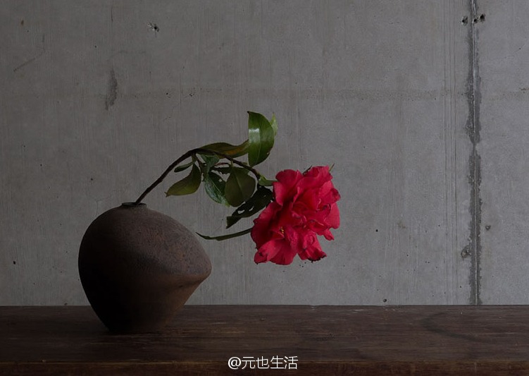 物尽其用，自在物华；明心净气，心有莲台。（陶作：西川 聡，花艺：上野雄次）