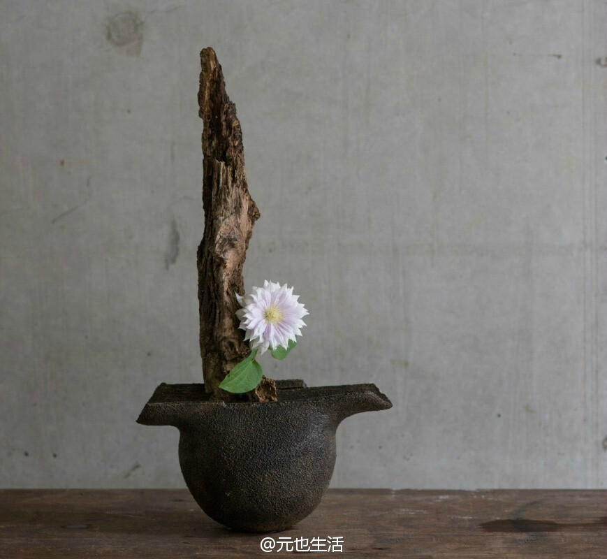 物尽其用，自在物华；明心净气，心有莲台。（陶作：西川 聡，花艺：上野雄次）