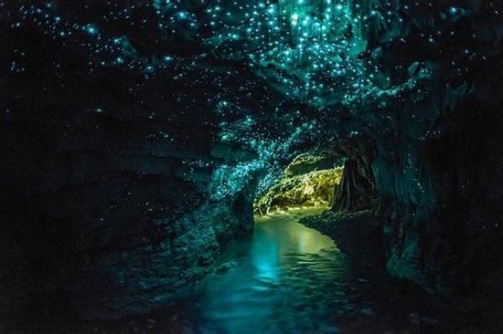 Glowworms Cave 萤火虫洞穴（新西兰） 怀托摩萤火虫洞（Waitomo Cave，也称萤火虫洞、怀托摩洞，位于新西兰的怀卡托的怀托摩溶洞地区，因其地下溶洞现象而闻名。地面下石灰岩层构成了一系列庞大的溶洞系统，由各式的钟乳石和石笋以及萤火虫来点缀装饰。