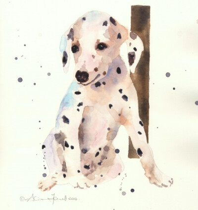 Dalmation bar 550x583 Alison Fennell的动物水彩画世界