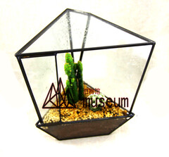 urban outfitters Triangles Terrarium 多肉玻璃容器