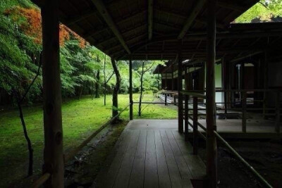 雨后京都高桐院